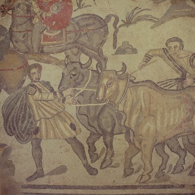 Oxen transporting water, Roman mosaic, early 4th century by Roman